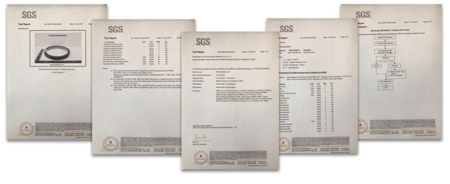 SGS Test Report
